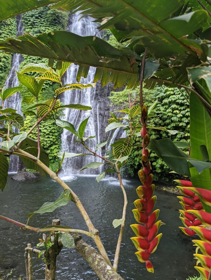 Bali Munduk Delux Bungalow Villa Singaraja Zewnętrze zdjęcie