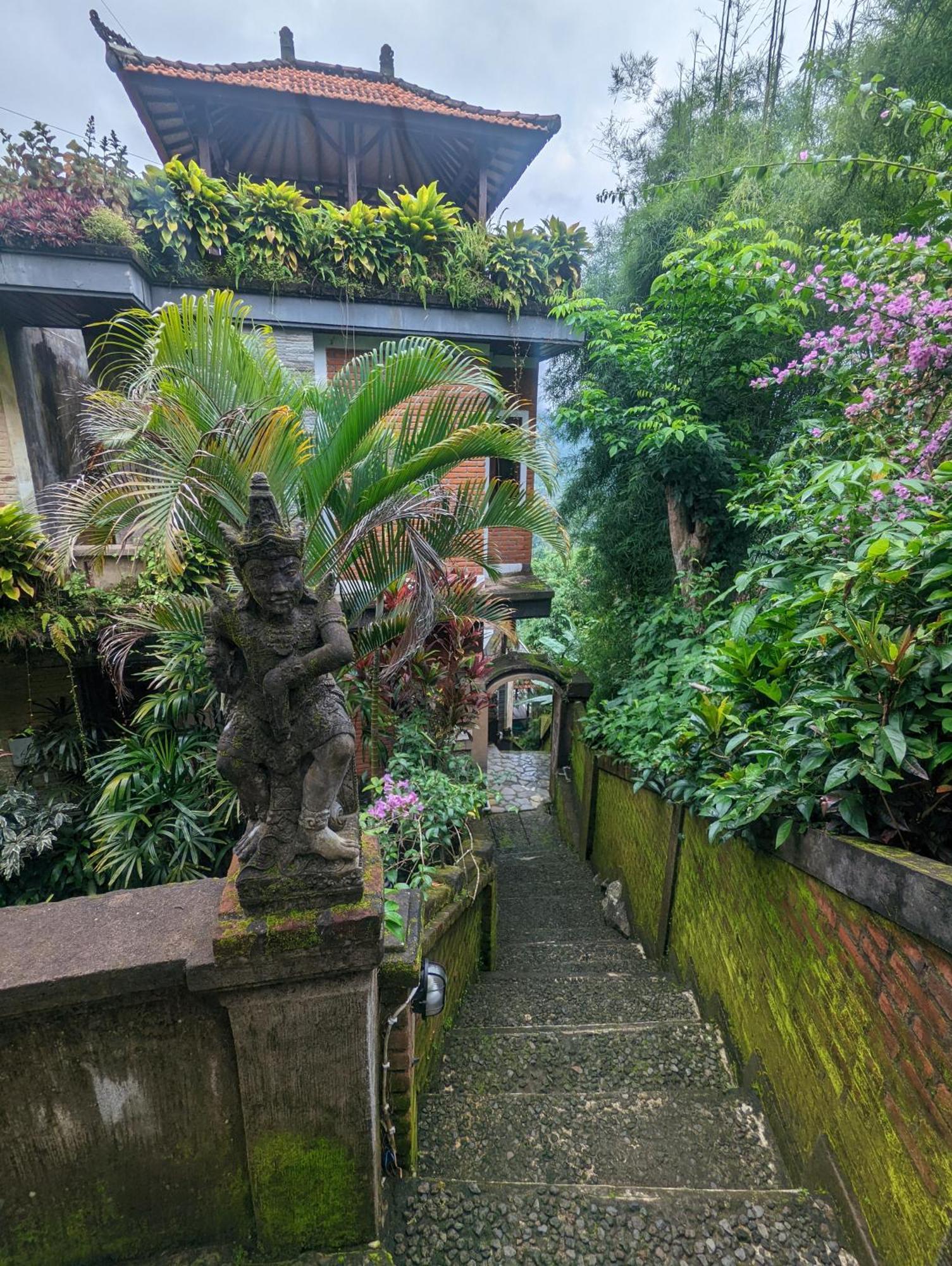 Bali Munduk Delux Bungalow Villa Singaraja Zewnętrze zdjęcie